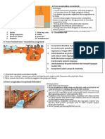 Rangkuman IPA Tema 4 Subtema 1 Kelas 6 K13 Revisi