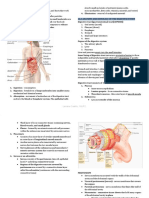 ANAPHY Digestive System Reviewer PDF