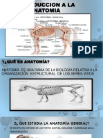 Introduccion A La Anatomia-3579