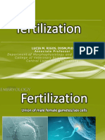 3 Fertilization