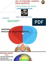 Vias Opticas