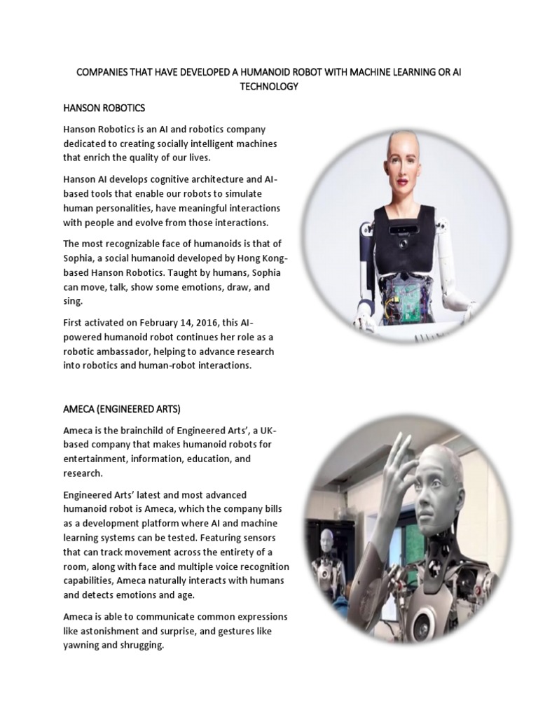 Sts Humanoid Robots PDF