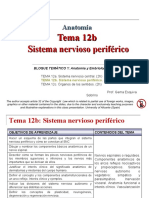 Tema 12b Sistema Nervioso Periferico