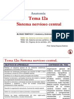 Tema 12a Sistema Nervioso Central