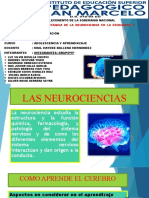 Neurociencia 5