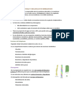 Estructuras y Organulos No Mebranosos