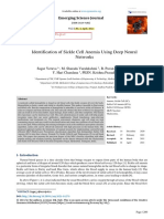 2-Identification of Sickle Cell Anemia Using Deep Neural Networks