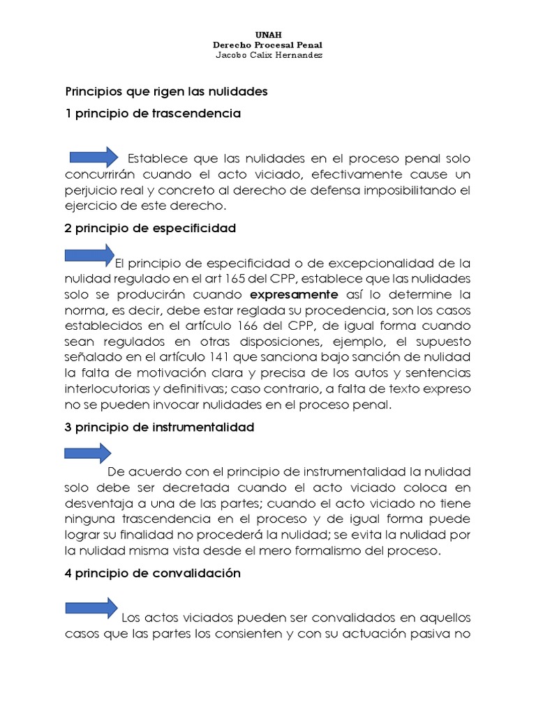 Principios Que Rigen Las Nulidades | PDF