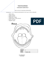 Conciencia Dentomaxilar