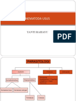 Pertemuan 2nematoda Usus 2