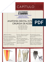 1 Anatomia ProApice