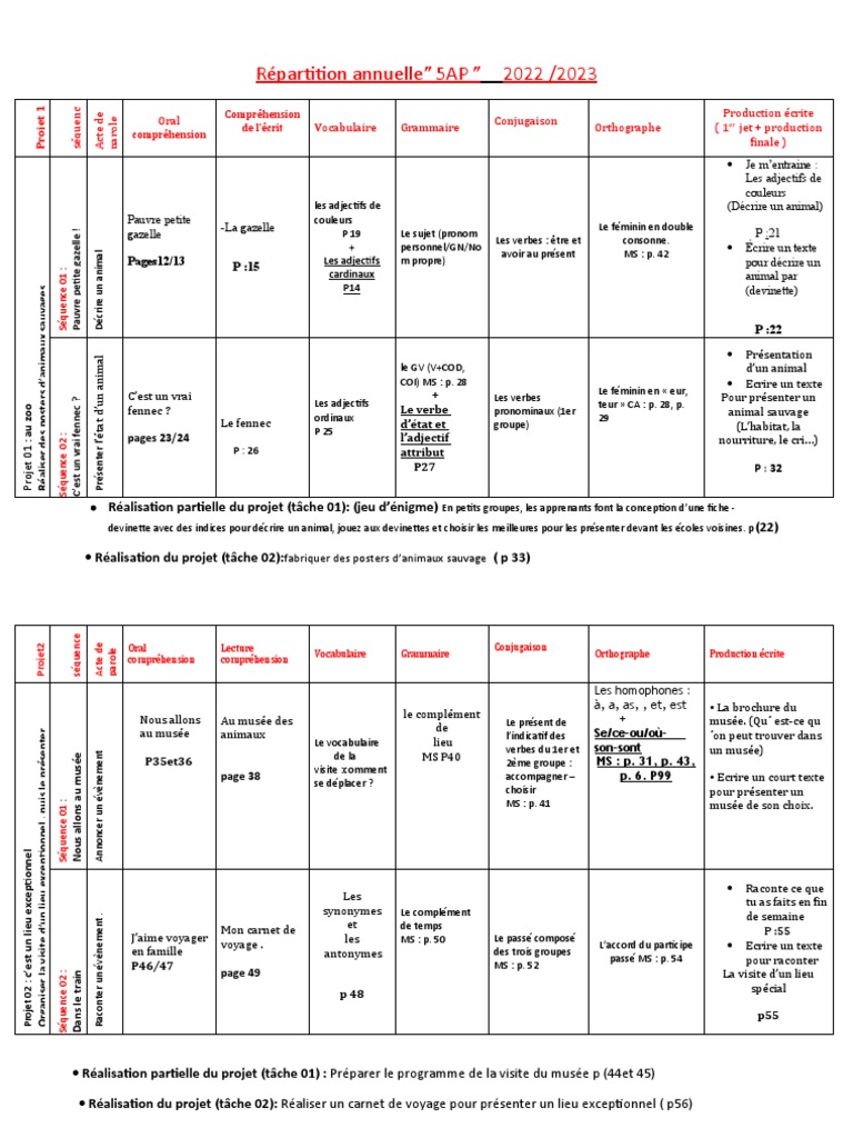 Programme 5AP : Projets Éducatifs 2022/2023 | PDF | Verbe ...
