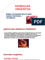 Anomalias Congenitas