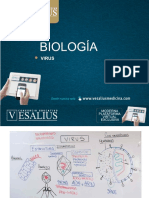 Sem 07 Biología Pi PDF