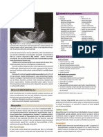 Cardiologie: Bolile Miocardului