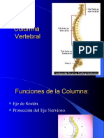 Columna Vertebral