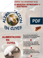 90282792-ALIMENTACION-CUY-www-peru-cuy-com