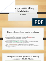 Energy Losses Along Food Chains: Mr. M. Martin