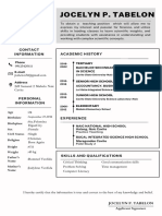 Monochrome Simple Professional Resume (21 × 34 CM)