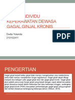 Gagal Ginjal Kronik