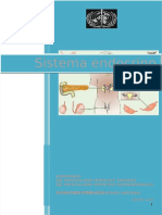 PDF Guia Completa Sistema Endocrino 1 Compress