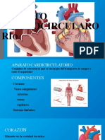 Aparato Cardiocircularorio