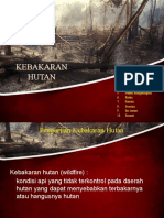 Kebakaran Hutan