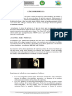 Cancer de Prostata PDF