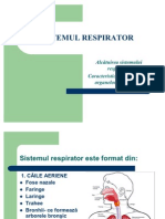 Sistemul Respirator