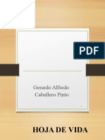 Gerardo Alfredo Curriculum