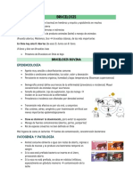 Brucelosis, Brucelosis Canis, Epididimits Carnero, Campylobacter, Ectima 19-04 Parásito