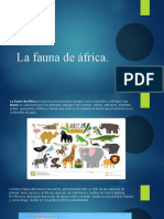 Diapositiva La Fauna de Africa