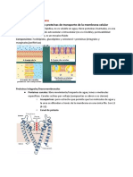 Apuntes de Fisio Teoria