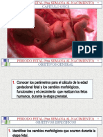 A Período Fetal. Arteaga Modif.