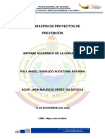 Proyectos prevención policía