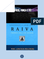 Aprendendo ALidar Com ARaiva PDF