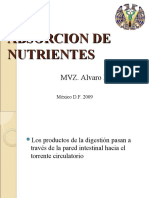 Absorcion de Nutrientes