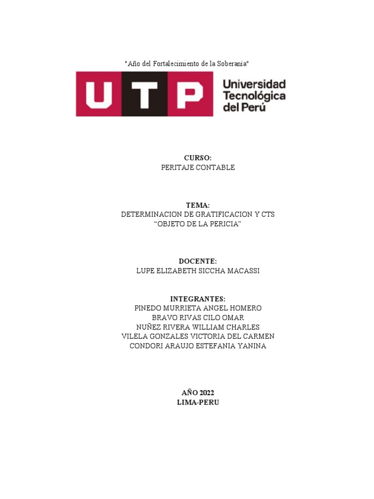 Objeto De La Pericia Pdf