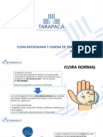 Micro - Clase 3 - Flora Microbiana y Cadena de Infeccion