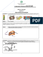 Síntesis de proteínas: Transcripción y traducción