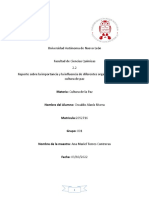 Reporte Sobre La Importancia y La Influencia de Diferentes Organismos en Pro de La Cultura de Paz