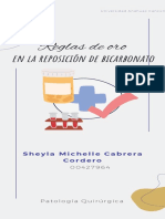 Reglas de Oro para La Reposición de Bicarbonato. Sheyla Cabrera