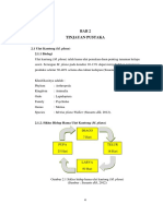 Metisa Plana 2