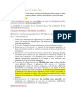 Sistema esquelético: estructura y función del tejido óseo