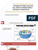 9 Organelos Aparato de Golgi SESIÓN 9