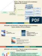 DINÁMICA ECOLÓGICA. Flujo de Energía en Los Ecosistemas