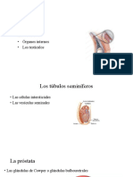 EXPOSICION PSICODIAGNOSTICO