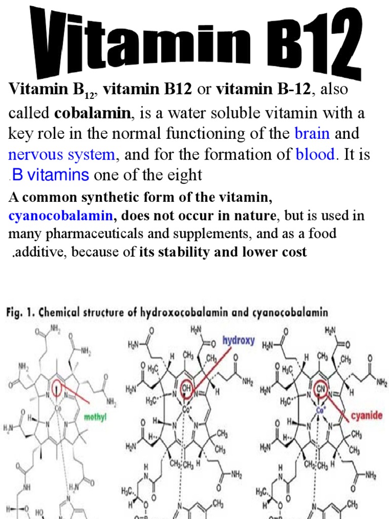 Makalah Materi PDF Vitamin B12 Digestion