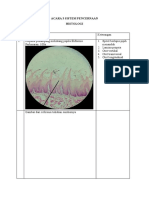 Sistem Pencernaan Histologi 1docx