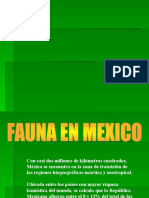 Fauna Presentacion